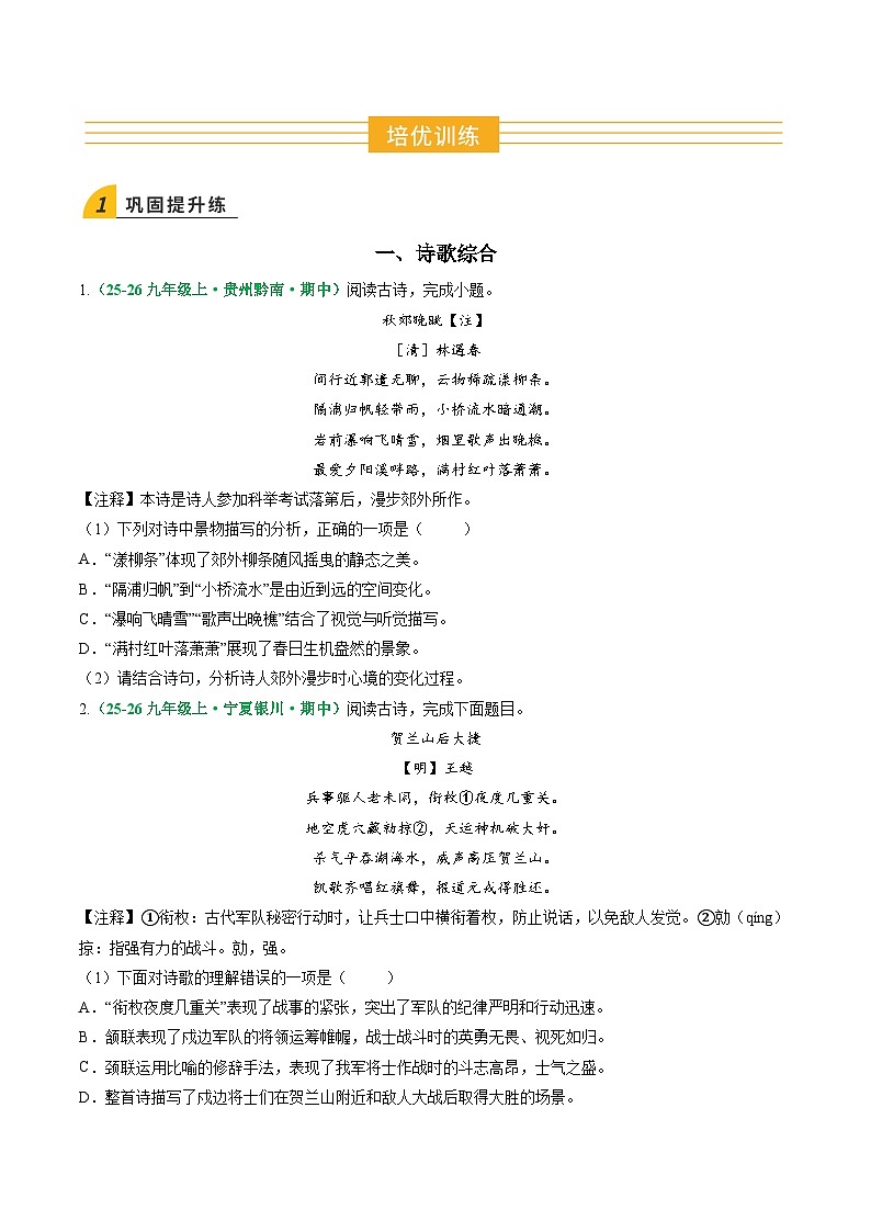 寒假作业18 诗歌综合、文言文综合（原卷版）第2页