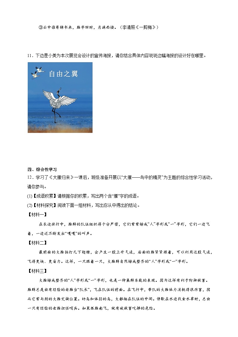 部编七上语文19大雁归来 分层作业（含答案解析）试卷第3页