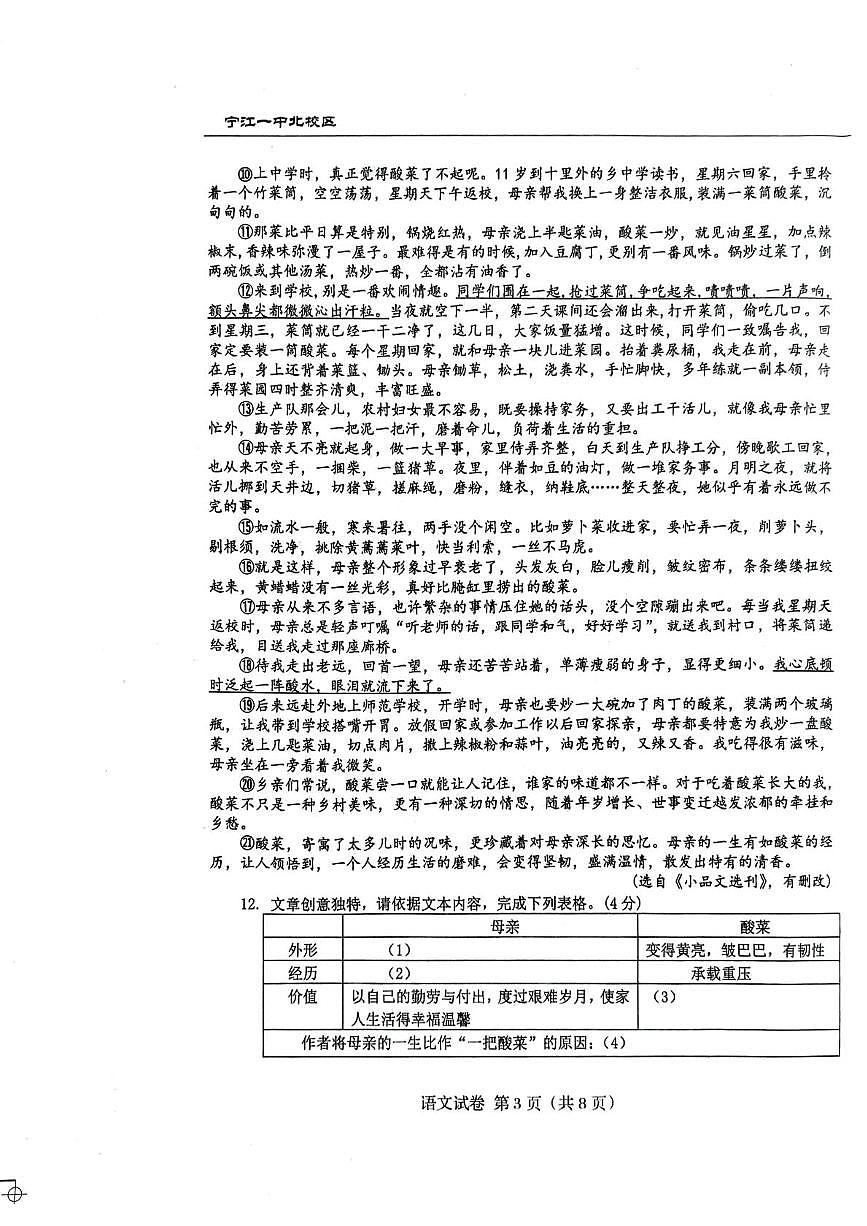 吉林省松原市宁江区第一中学2025-2026学年九年级上学期1月期末语文试题第3页