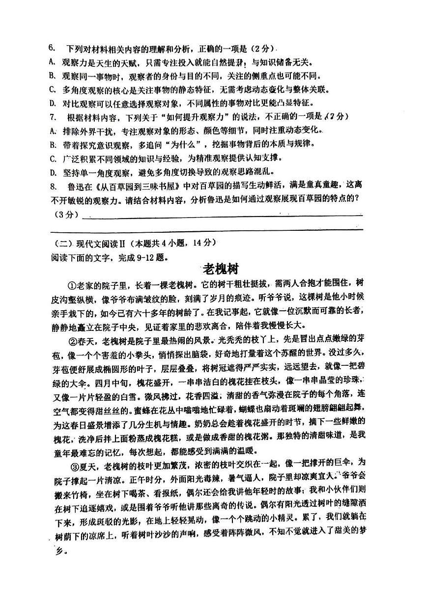四川省自贡市第二十八中学2025—2026学年七年级上学期期末考试语文试题第3页