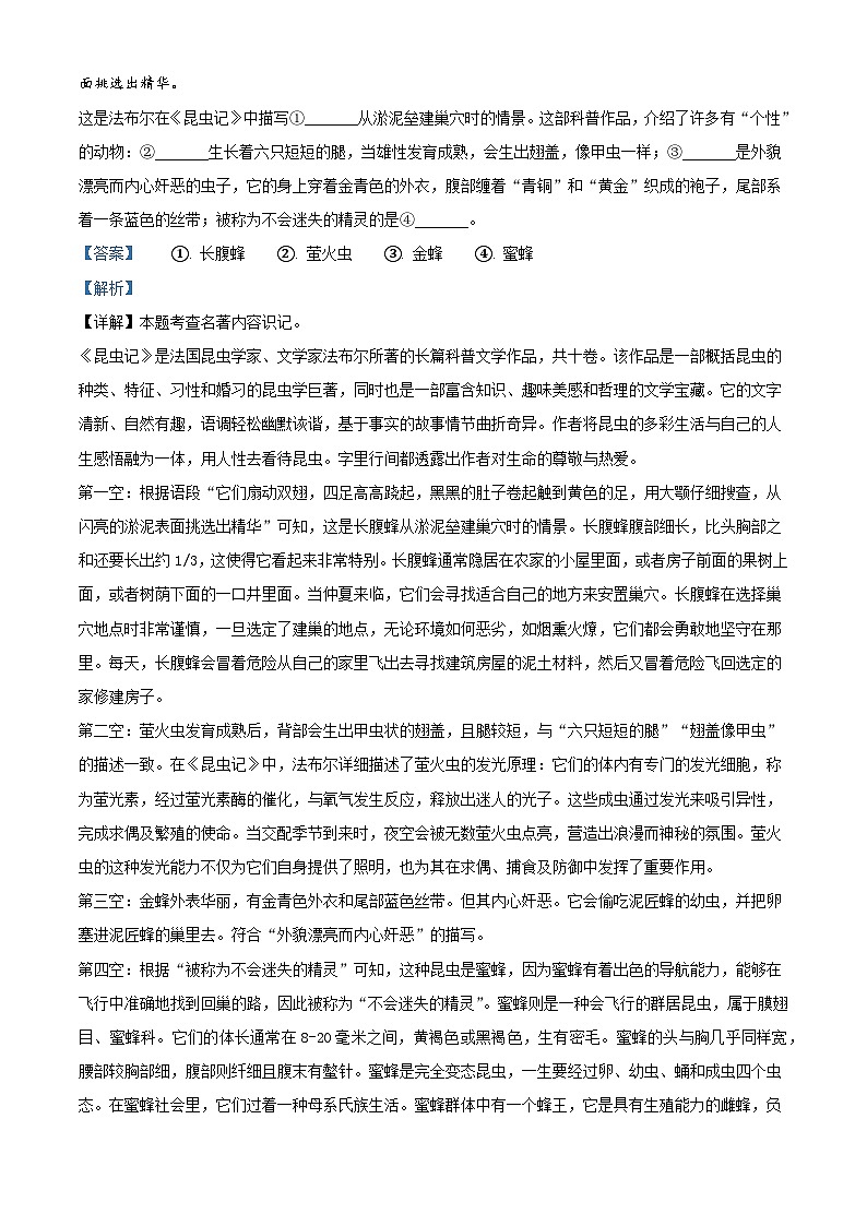广东省湛江市雷州市第八中学教育集团2025-2026学年八年级上学期12月月考语文试题（含答案）（含解析）第3页