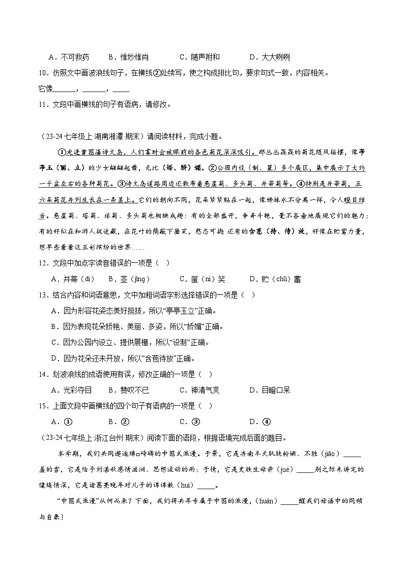专题01 字词句基础（期末复习专项训练）（原卷版）第3页