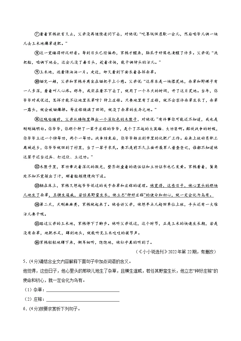组合练05 积累运用+记叙文阅读+古诗文阅读+整本书阅读（原卷版）第3页
