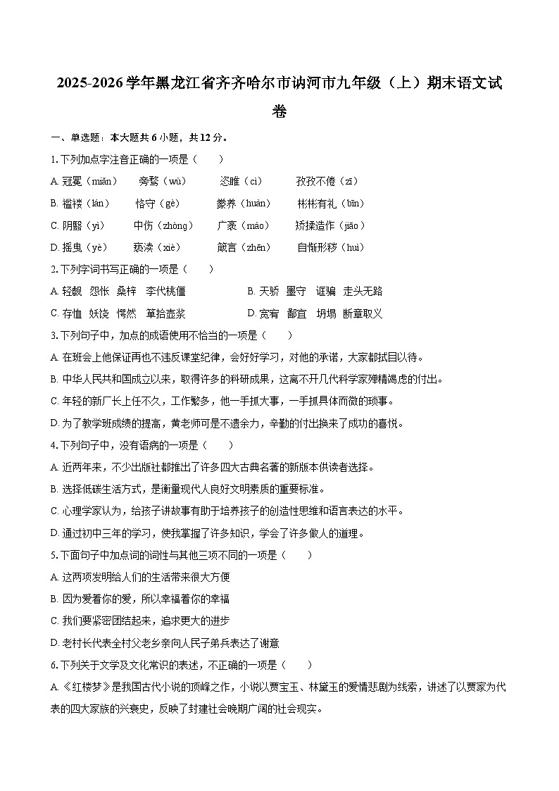 2025-2026学年黑龙江省齐齐哈尔市讷河市九年级（上）期末语文试卷-自定义类型第1页