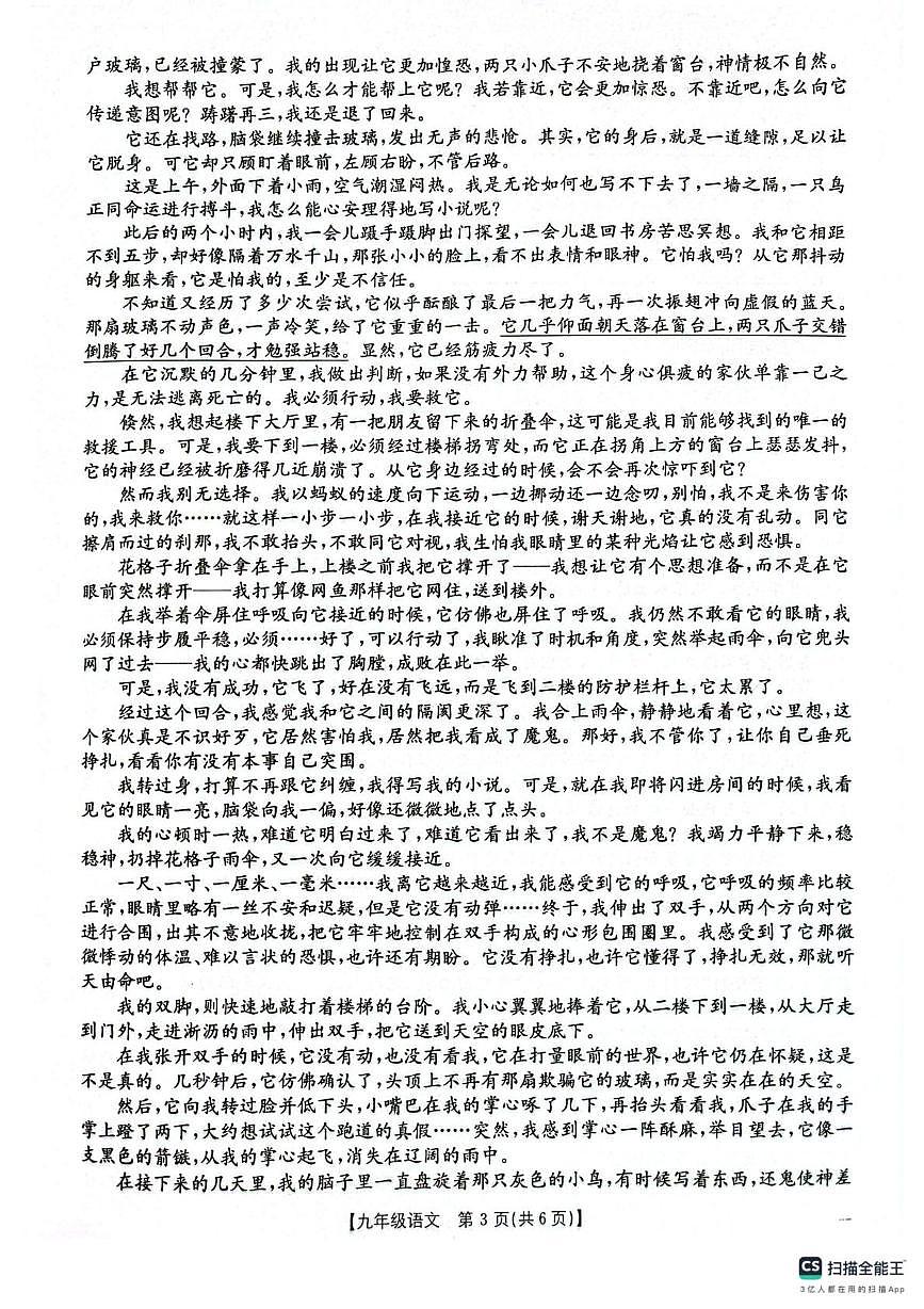 甘肃省庆阳市镇原县2025-2026学年九年级上学期期末测试语文试卷第3页