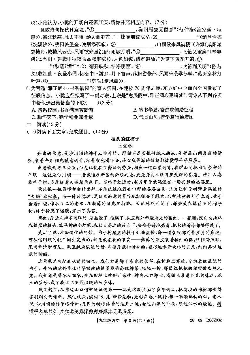 甘肃省定西市岷县2025-2026学年九年级上学期1月期末考试语文试题第3页