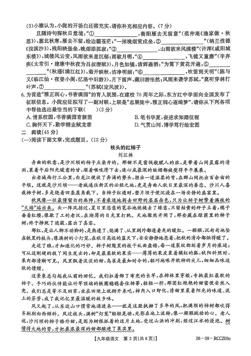 甘肃省定西市临洮县2025-2026学年九年级上学期1月期末考试语文试题第3页