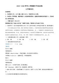 河南省新乡市2025-2026学年九年级上学期期中语文试题（含答案）（含解析）