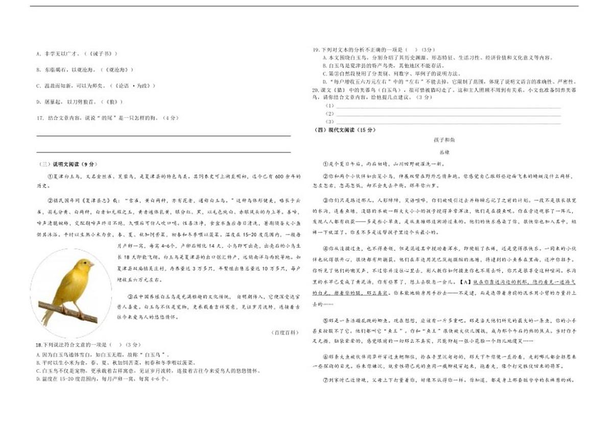 2025-2026学年山东省德州市夏津县万隆实验中学七年级上学期第二次月考语文试题（有答案）第3页