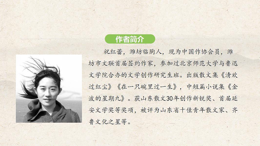 17826404第3页