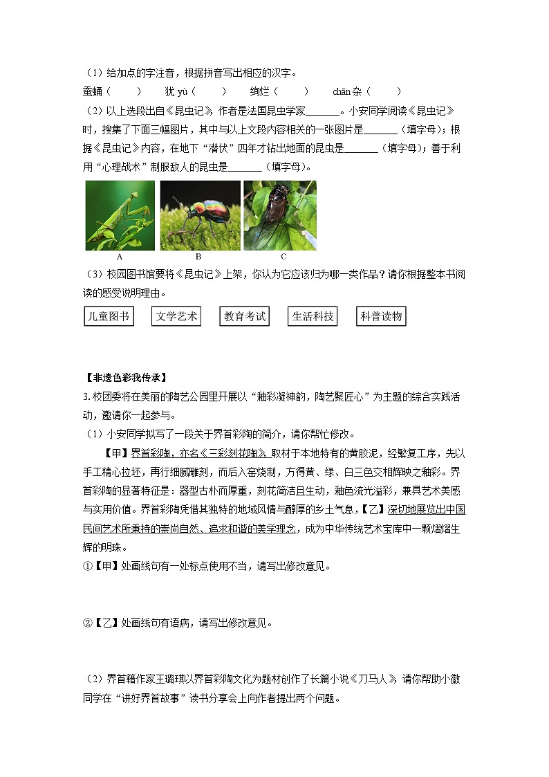 2024-2025学年安徽省界首市八年级上学期期末考试语文试卷（学生版）第2页