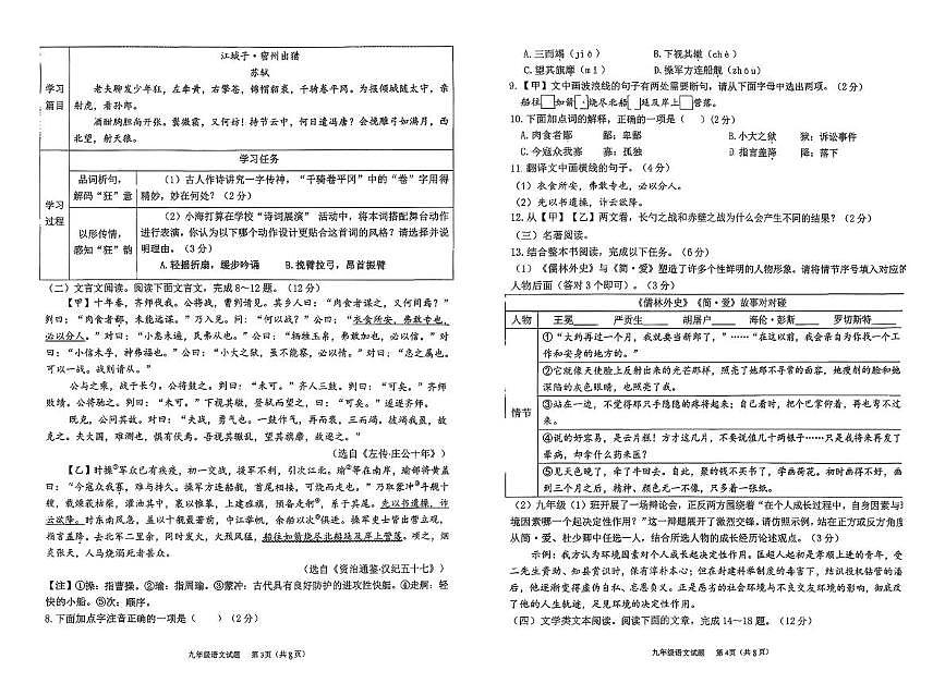 海南省海口市龙华区海南华侨中学2025-2026学年九年级上学期期末考试语文试题第2页