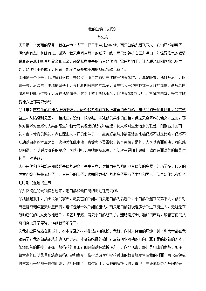 2025-2026学年内蒙古呼和浩特市七年级（上）期末语文试卷-自定义类型第3页