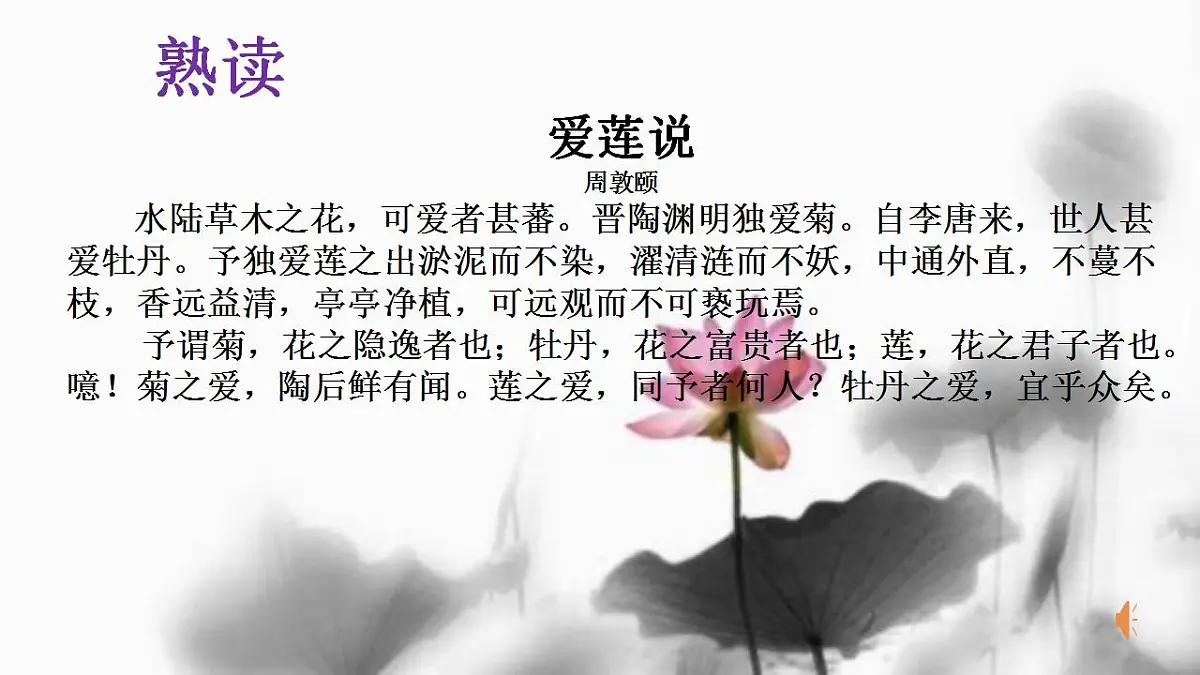 17842141第8页