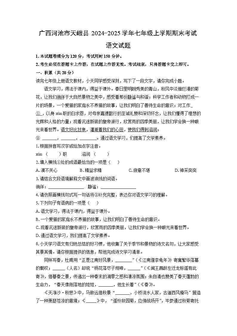 2024-2025学年广西河池市天峨县七年级上学期期末考试语文试卷（学生版）第1页
