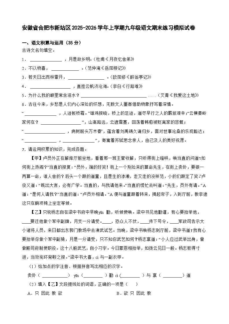 安徽省合肥市新站区2025-2026学年上学期九年级语文期末练习模拟试卷第1页
