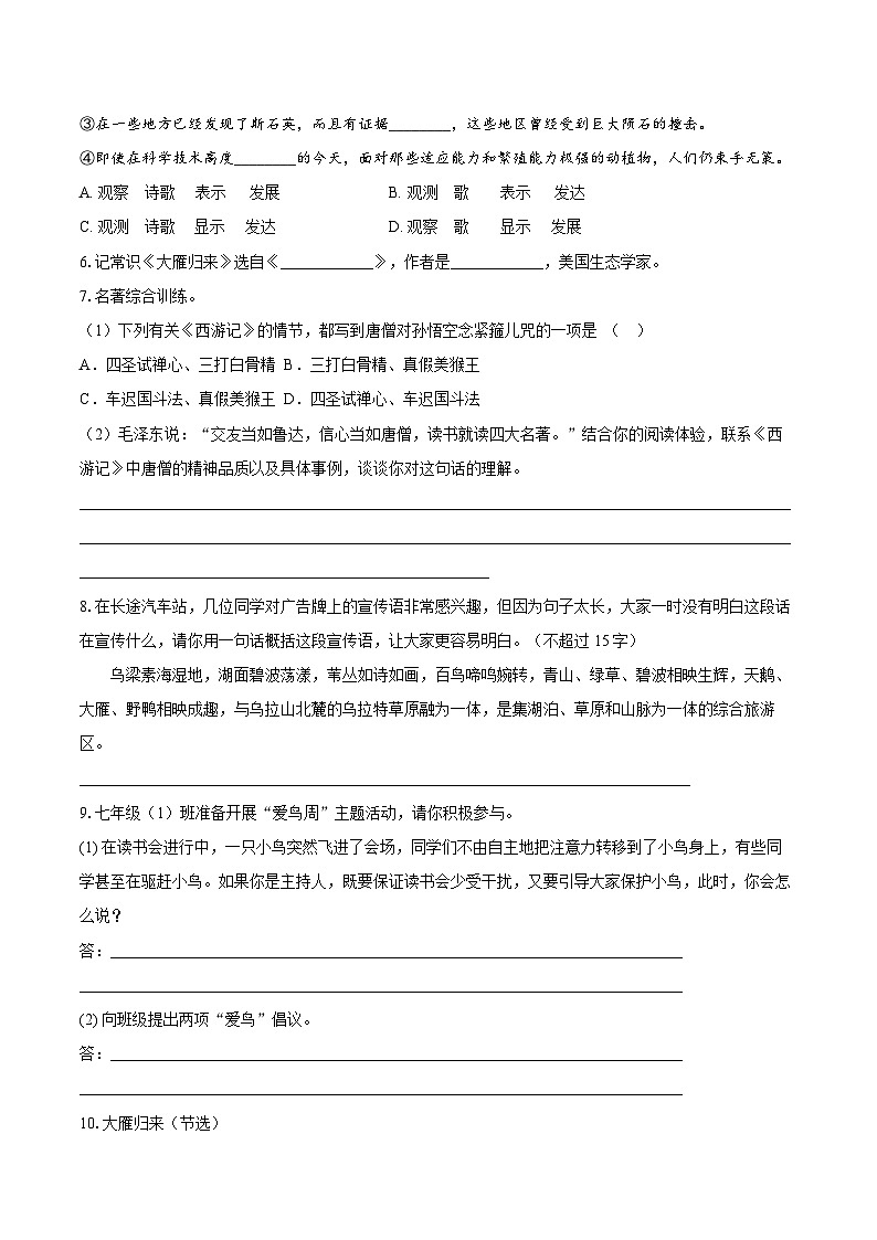 第19课《大雁归来》同步练习 2025—2026学年统编版语文七年级上册（含答案+解析）第2页