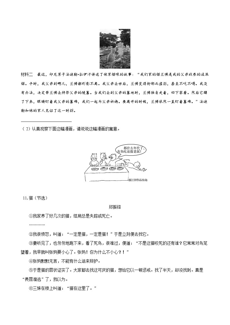 第17课《猫》同步练习 2025—2026学年统编版语文七年级上册（含答案+解析）第3页