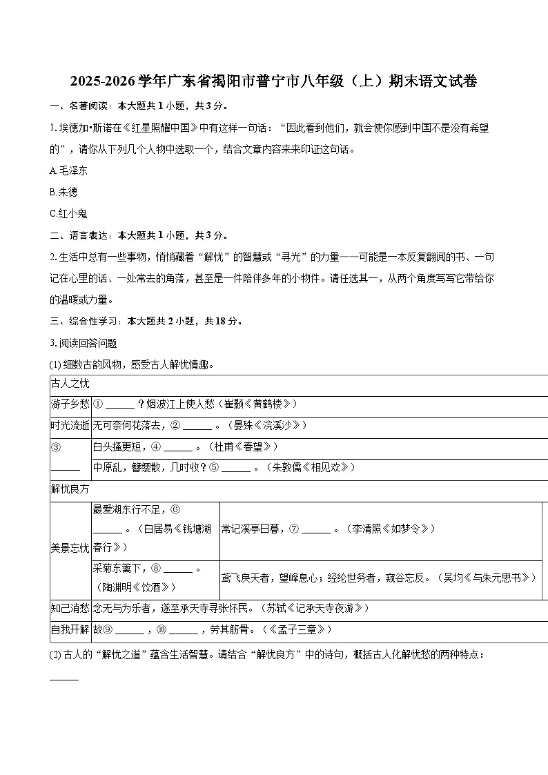 2025-2026学年广东省揭阳市普宁市八年级（上）期末语文试卷-自定义类型第1页