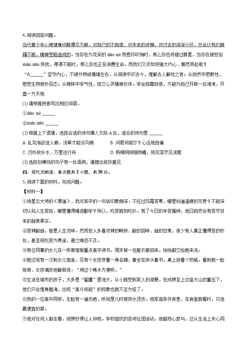 2025-2026学年广东省揭阳市普宁市八年级（上）期末语文试卷-自定义类型第2页