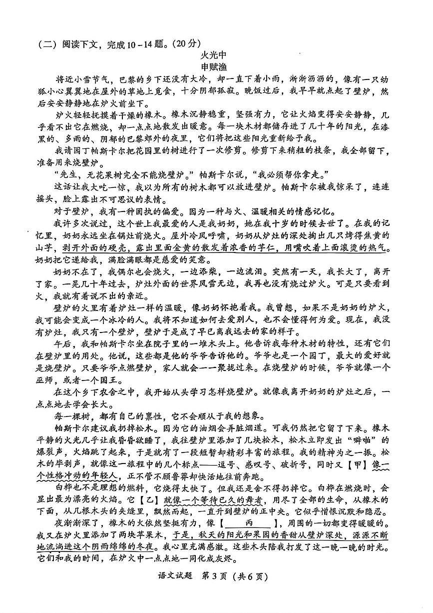 福建省厦门市2025-2026学年九年级上学期学期期末考语文试卷第3页