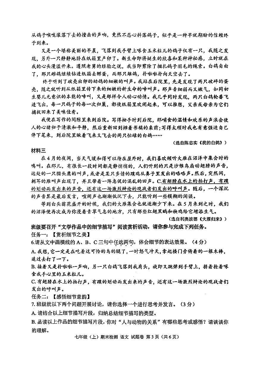 2026.1嘉兴市七上期末语文试卷（含答案）第3页