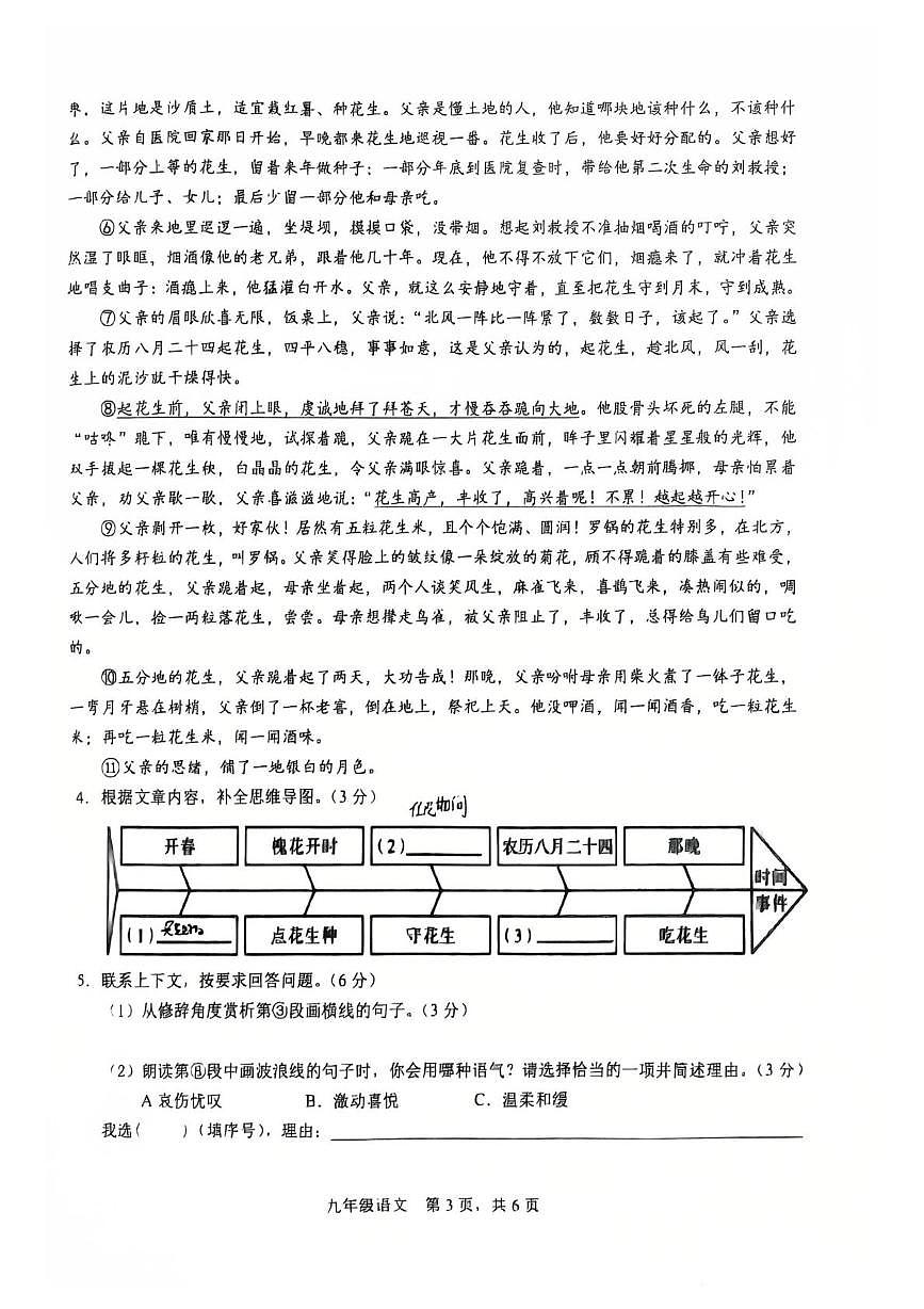 安徽阜阳实验中学2025-2026学年度九年级上学期期末考试语文试卷第3页