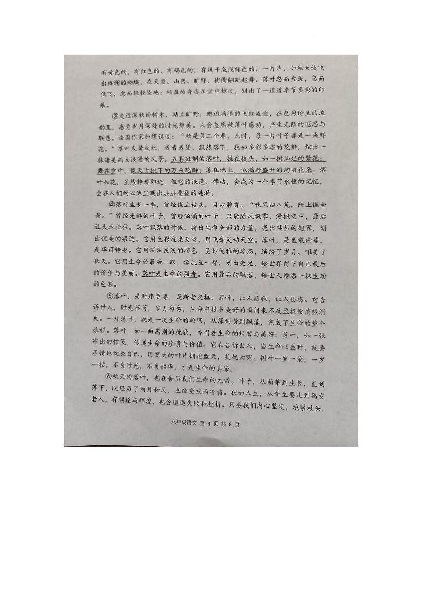 河南洛阳市洛宁县2025-2026学年第一学期期末学情调研八年级语文试卷含答案第3页