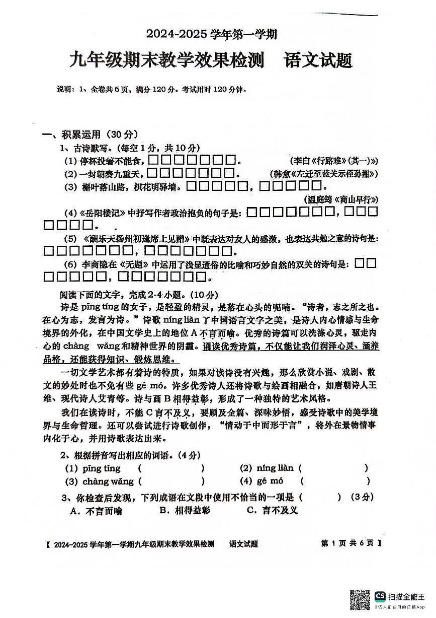 广东省湛江市雷州市2024-2025学年九年级上学期1月期末语文试题第1页