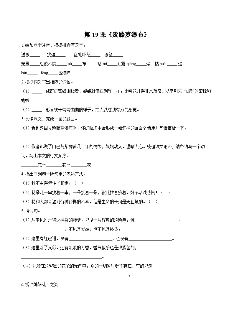第19课《紫藤萝瀑布》同步练习-2025-2026学年统编版语文七年级下册（含答案）第1页