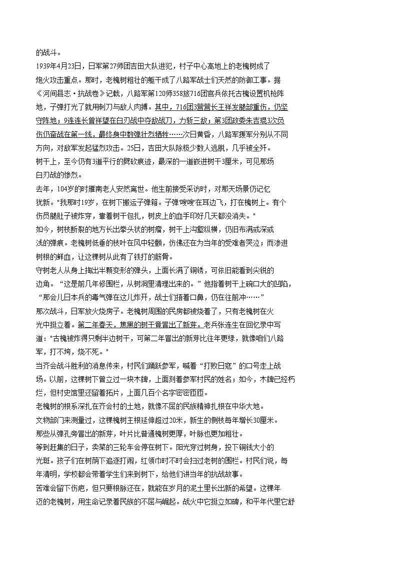 福建三明市三元区2025_2026学年八年级上学期1月期末语文试题（文字版，含答案）第3页