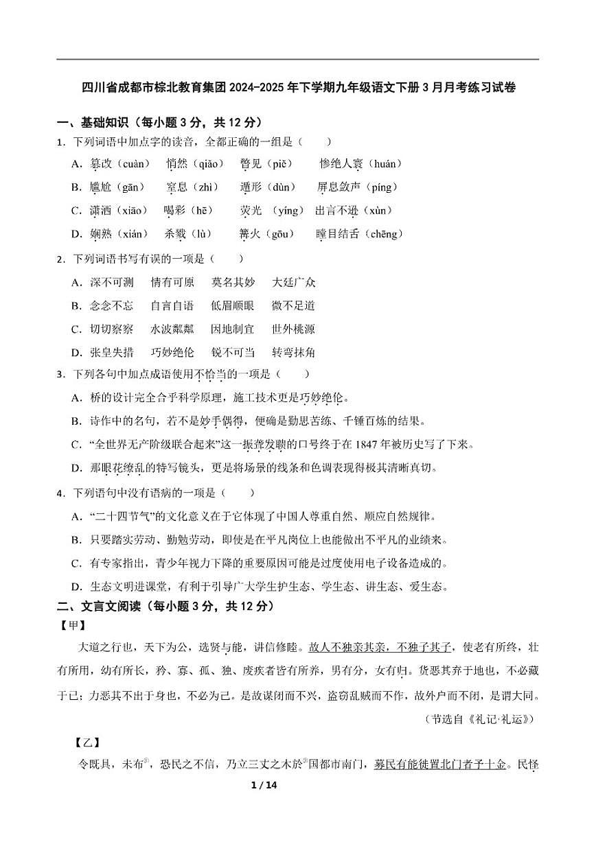 2024-2025年四川省成都市棕北教育集团下学期九年级语文下册3月月考练习试卷（含答案）第1页