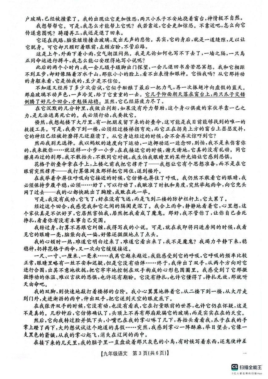 2025-2026学年甘肃省庆阳市镇原县九年级上学期期末测试语文（含答案）试卷第3页