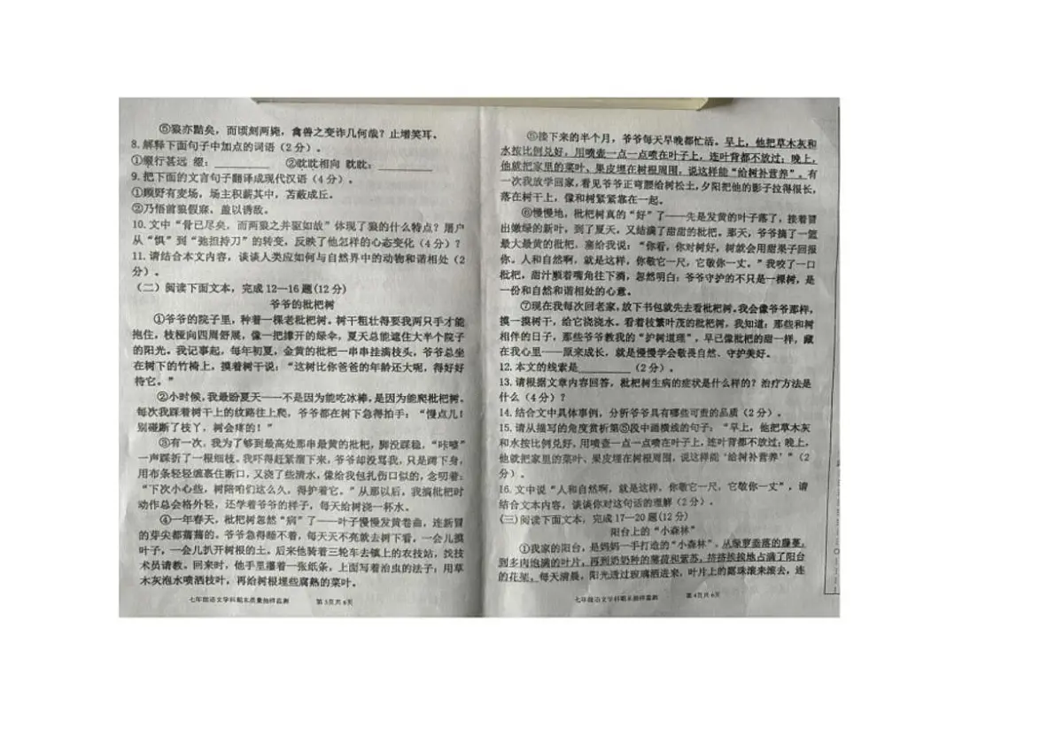 2025-2026学年内蒙古自治区通辽市奈曼旗七年级上学期1月期末考试语文试题（含答案）第2页
