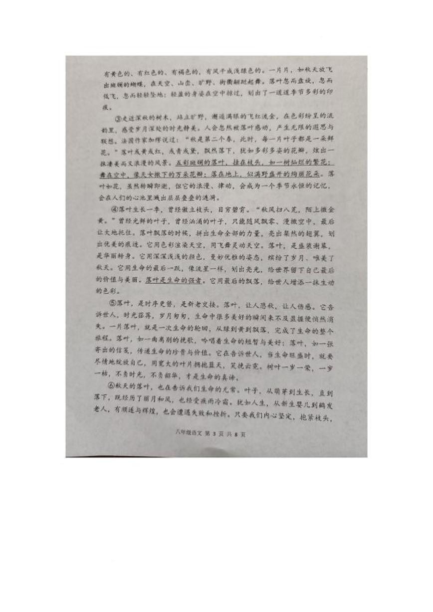 2025-2026学年河南洛阳市洛宁县第一学期期末学情调研八年级语文试卷（含答案）第3页