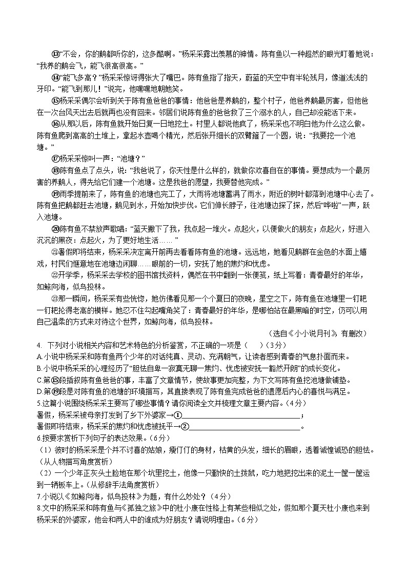 安徽省六安市舒城县2025-2026学年度第一学期期末质量监测九年级语文试卷(含答案）第3页