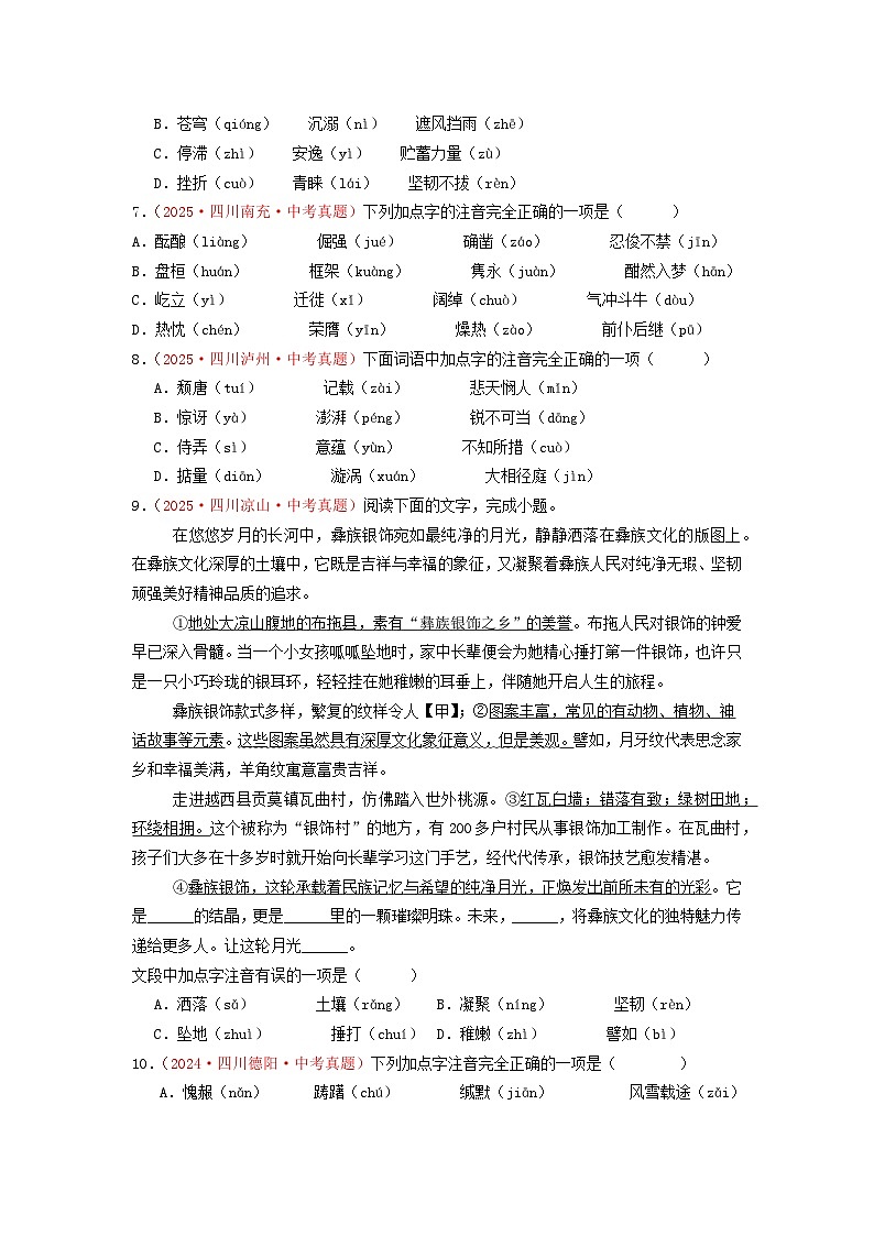 中考二轮复习真题练——字音篇（原卷版）第2页
