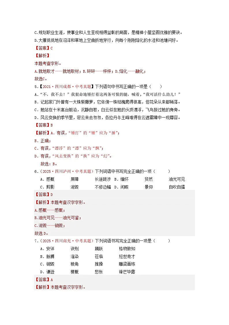中考二轮复习真题练——字形篇（解析版）第2页