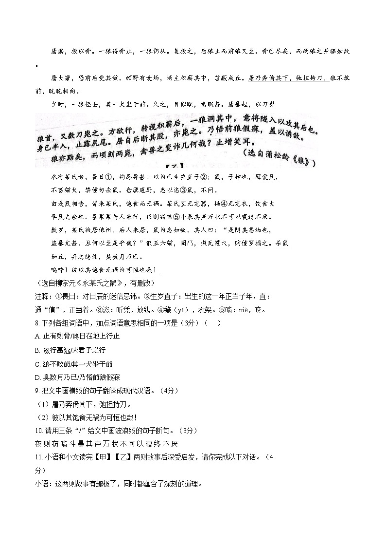 广东省揭阳市惠来县第一中学2025_2026学年七年级上学期1月期末语文试题（图片版，含答案）第3页