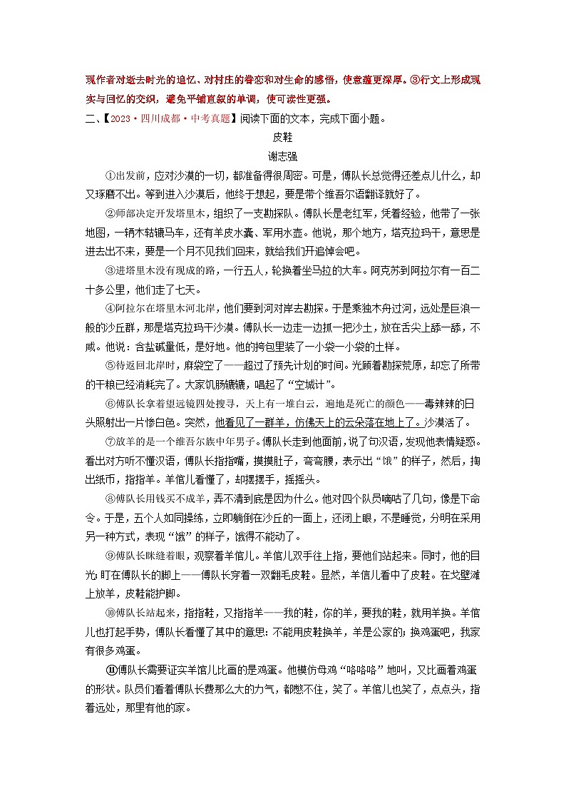 中考二轮复习真题练——B卷小说阅读篇（解析版）第3页