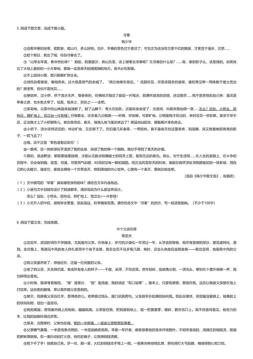 2025~2026学年陕西西安初一上学期期中语文试卷（高新区）（有答案解析）第2页