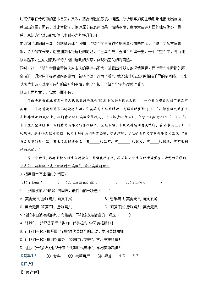 广东省湛江市雷州市雷州市十校联考九年级下学期期中语文试题（解析版）-A4第2页