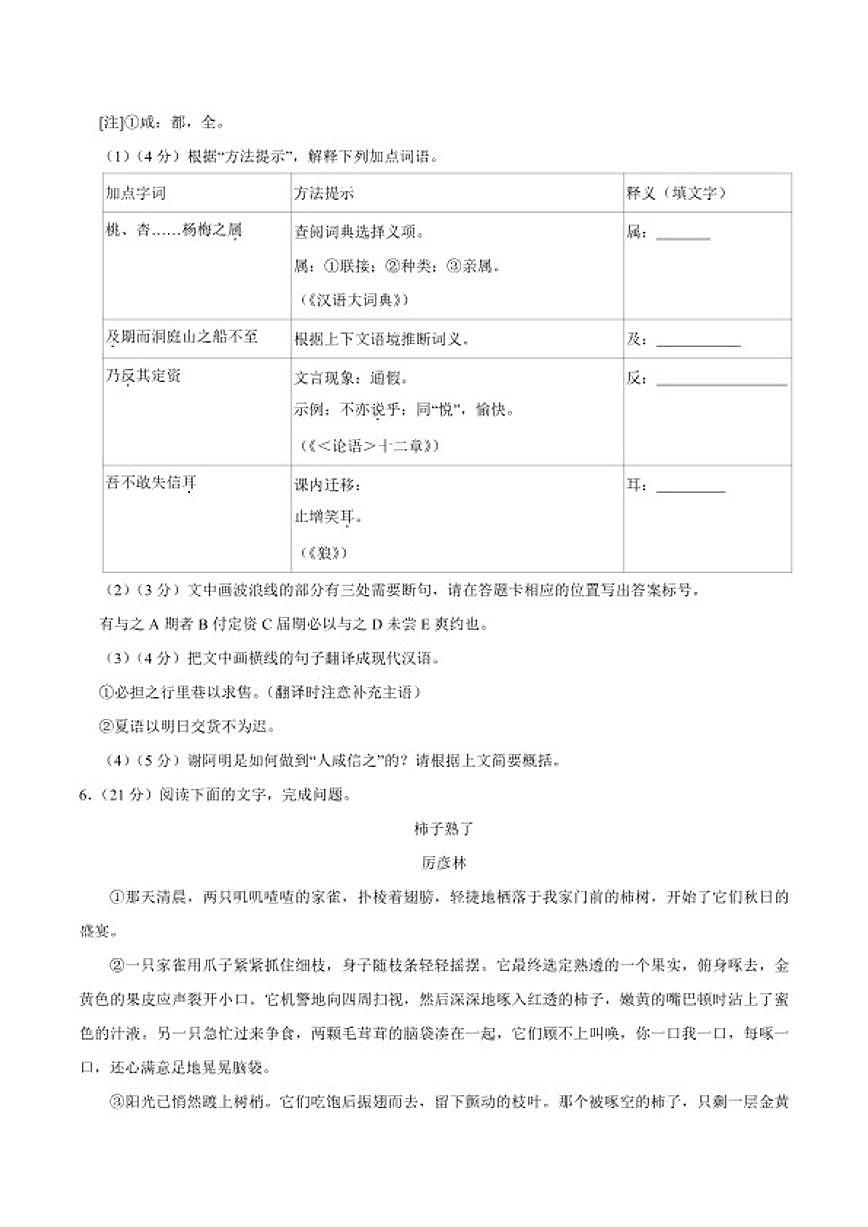 2025-2026学年福建省厦门市集美区上学期七年级期末语文试卷（含答案）第3页