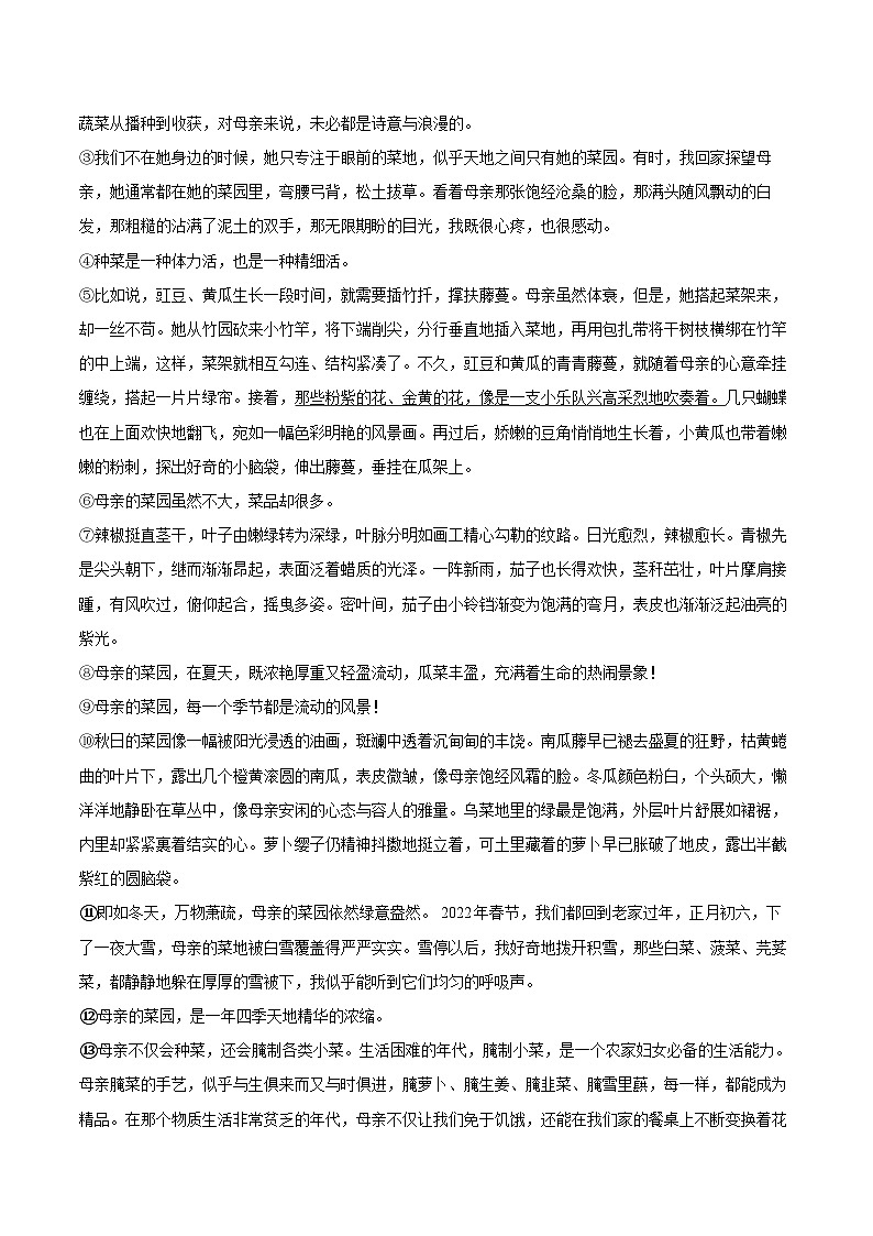 2025-2026学年安徽省六安市舒城县七年级（上）期末语文试卷(含详细答案解析)第3页