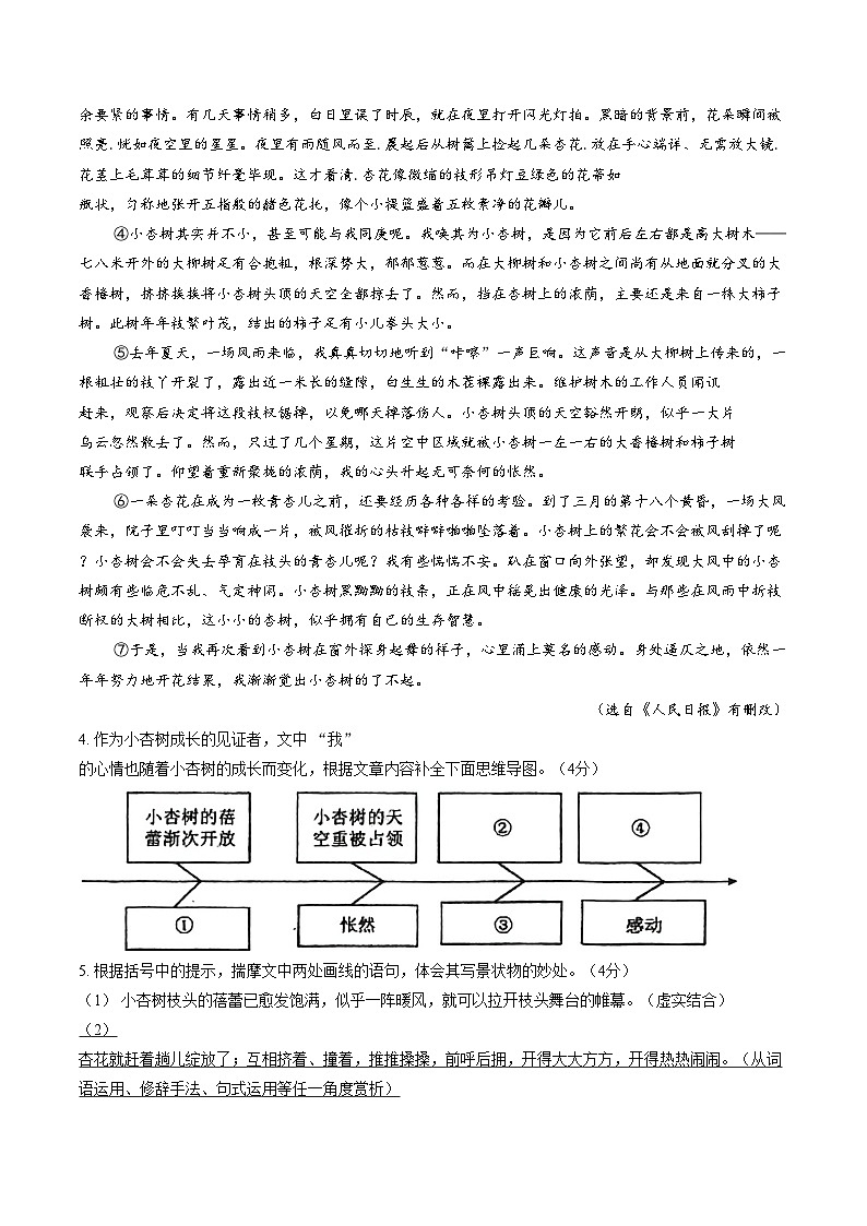 河南郑州市第六十四中学2025_2026学年上学期期末学情调研七年级语文试题（文字版，含答案）第3页