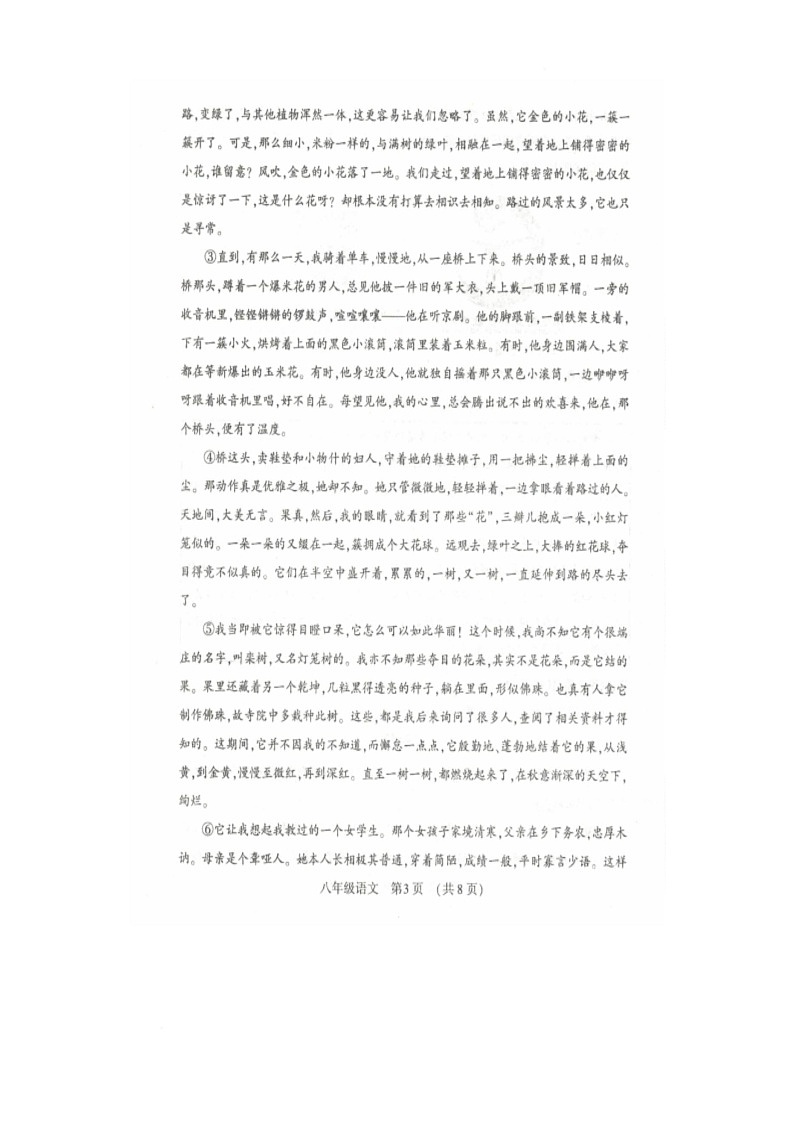河南省洛阳市嵩县2025—2026学年第一学期期末考试八年级语文试卷第3页
