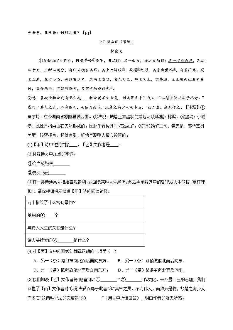 14. 《陋室铭》诗、文对比阅读（12组50题）（原卷版）第3页