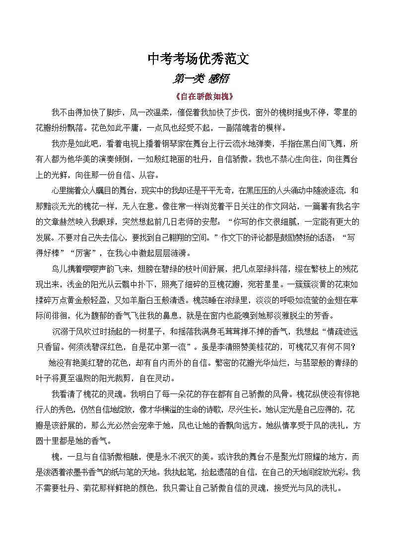 中考语文考场优秀范文学案第1页