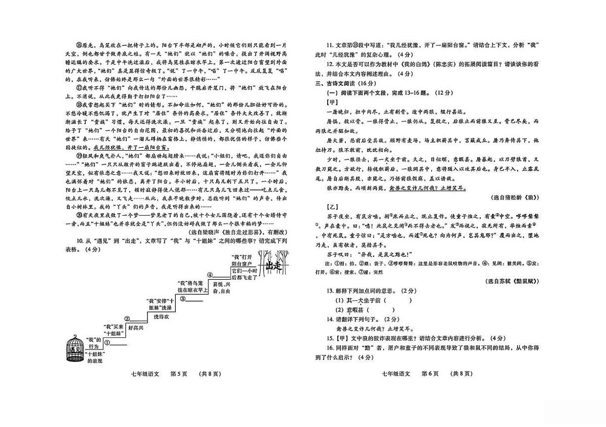 河南濮阳市2025-2026学年上学期期末学业质量测评七年级 语文试卷第3页