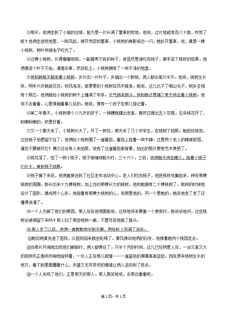 安徽省安庆市桐城市部分学校2026届九年级下学期开学考试语文试卷第3页